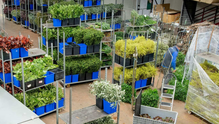 Sanremo, nuova sede per la Tre Ponti Società Cooperativa Agricola