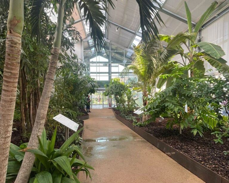 Aster, 14 agosto: il ricordo di Alessandro Campora e la serra del Memoriale