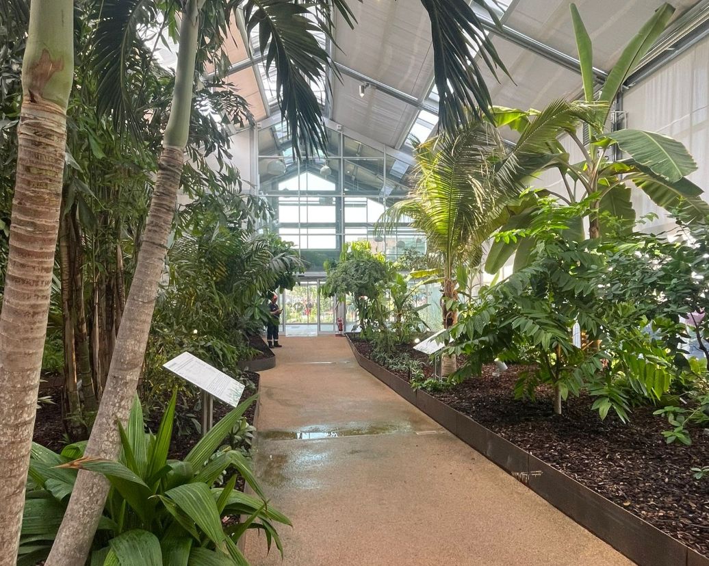 Aster, 14 agosto: il ricordo di Alessandro Campora e la serra del Memoriale