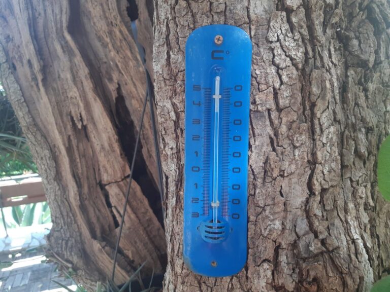 Caldo, bollino rosso su Genova anche giovedì 14 agosto