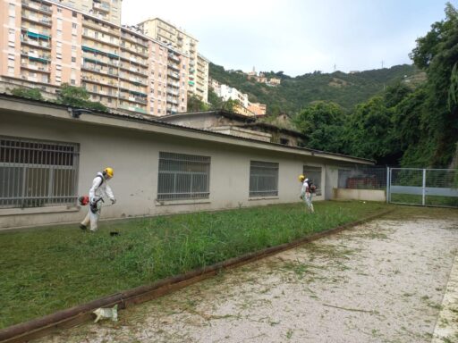 Parco Gavoglio a Genova, iniziati i lavori di cura del verde e messa in ordine