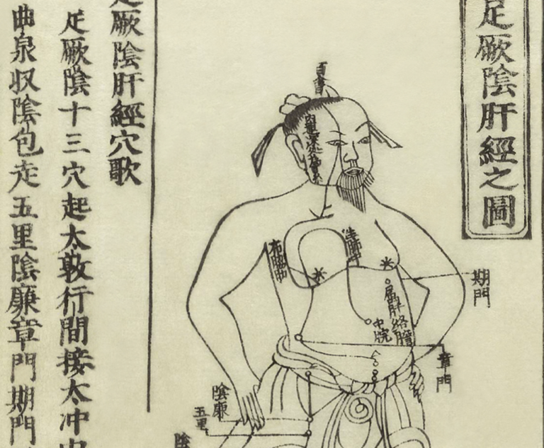 Castello D’Albertis rinnova l’area espositiva Medicine tradizionali dei popoli