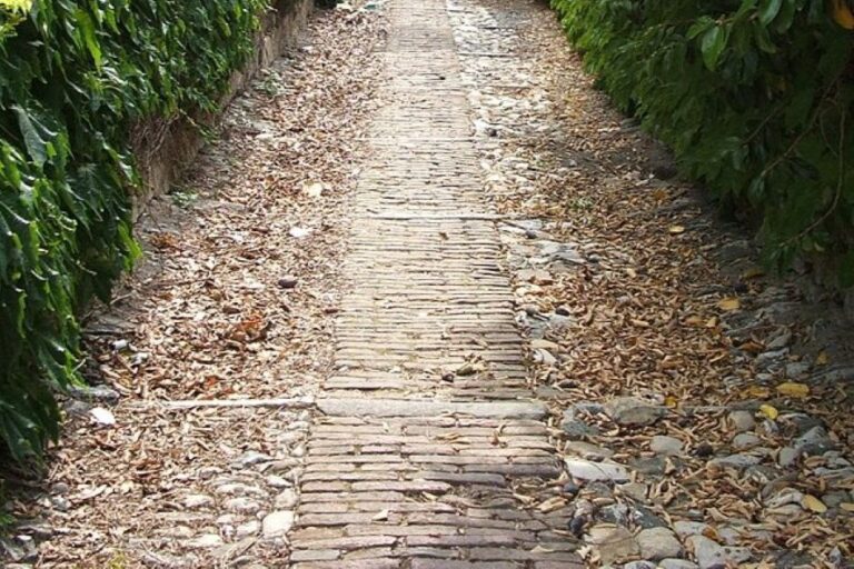 Municipi Genova: l’elenco dei 37 interventi che verranno realizzati nei prossimi mesi