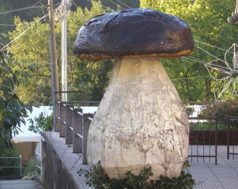 11-12 ottobre, a Gattorna festa del fungo e sagra della ballotta