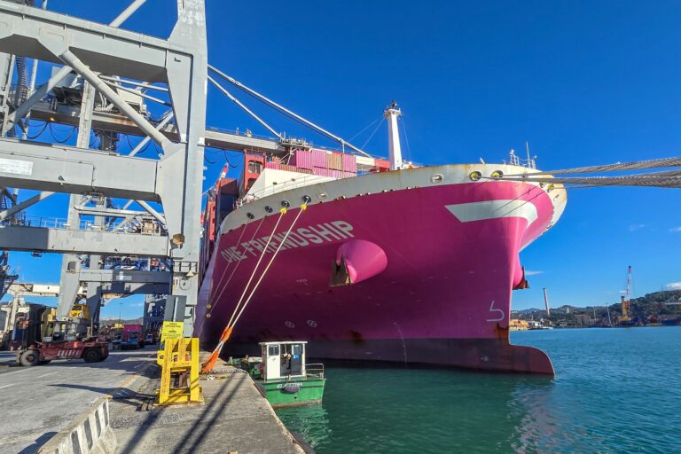 Al La Spezia Container Terminal torna il servizio MD2, approdata la Mv One Friendship