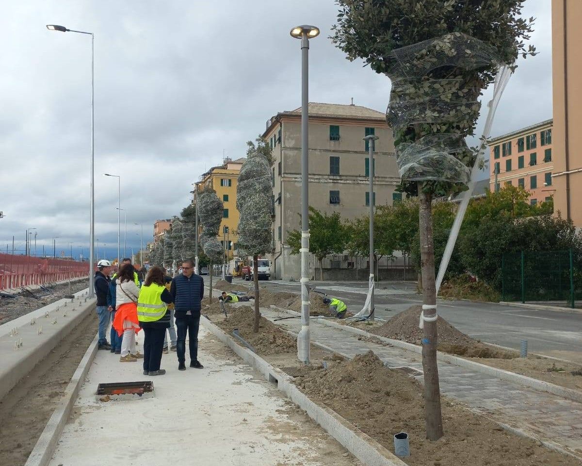 Lungomare Canepa, iniziata la piantumazione del parco lineare
