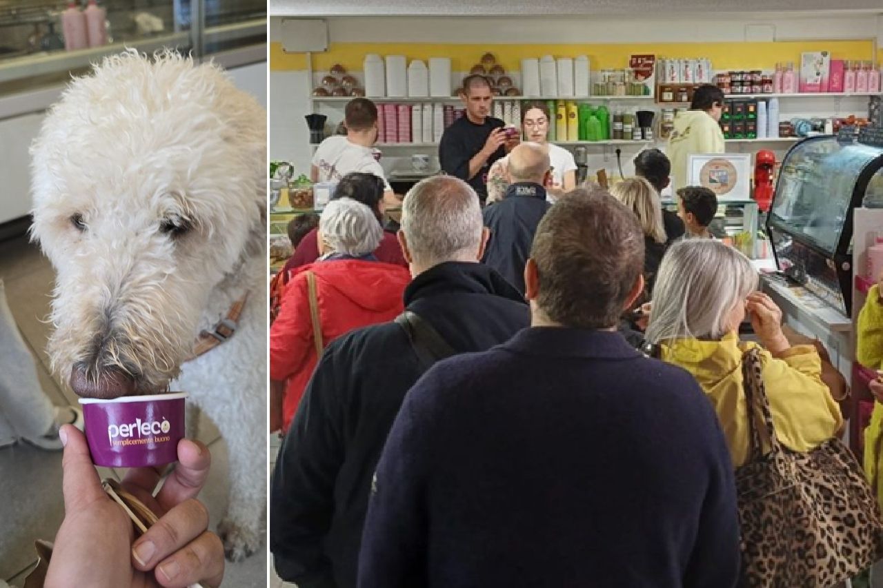 Ad Alassio il primo gelato artigianale per cani: è al brodo di carne