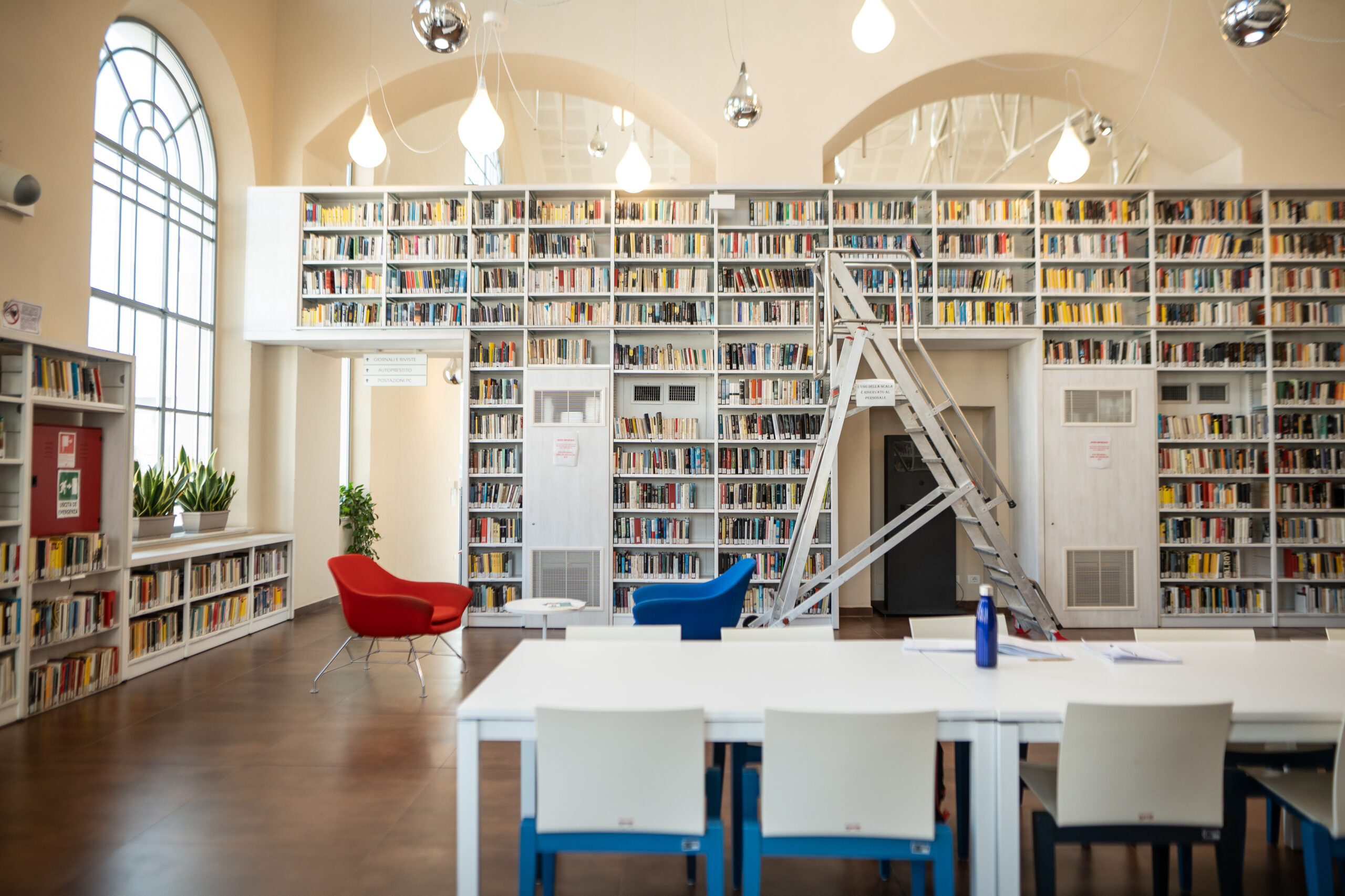 Biblioteche alla Spezia, numeri significativi nel 2025: 73.479 gli utenti