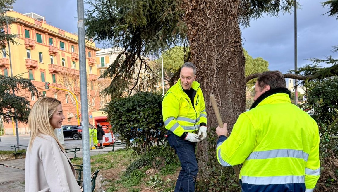 Task force del verde a Genova, stanziato un milione e mappate già tremila alberature