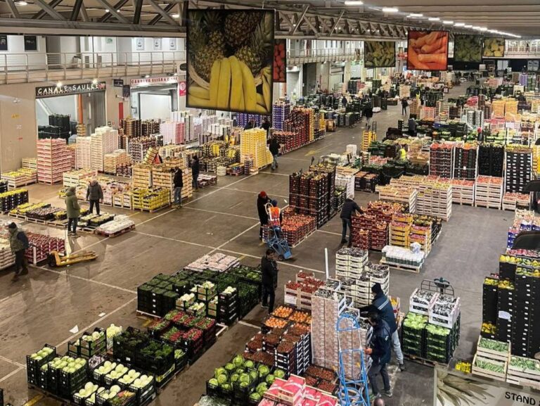 Centro agroalimentare Bolzaneto, Terrile: “Eccellenza della logistica nel settore food”