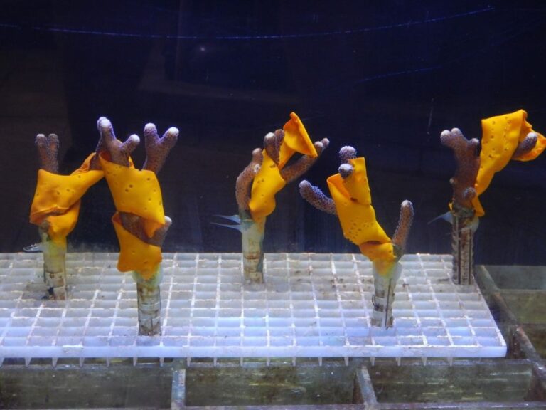 Brevetti green: “Competitivi perché sostenibili” geografia dell’eco-innovazione Made in Italy