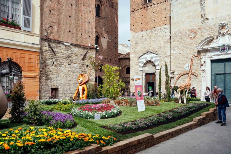 aiuole fiorite manifestazione fior d'albenga