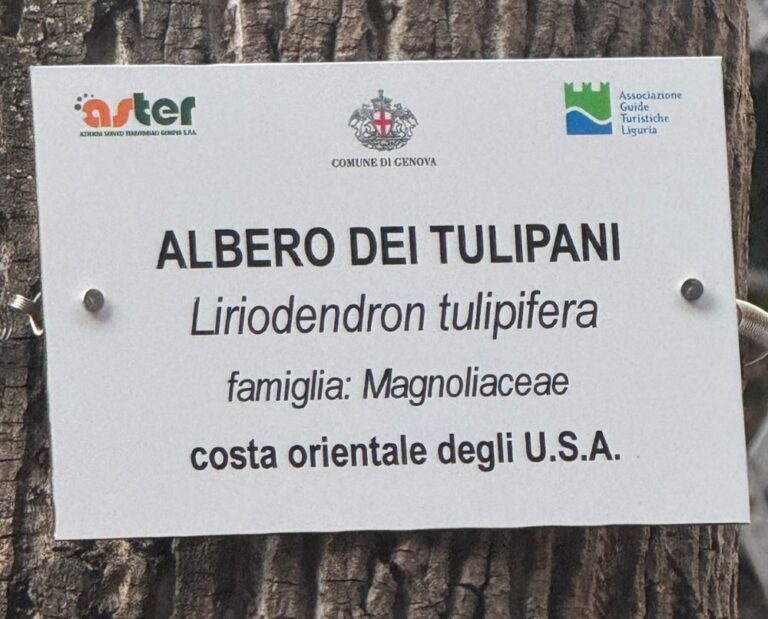 cartellinatura alberi genova aster