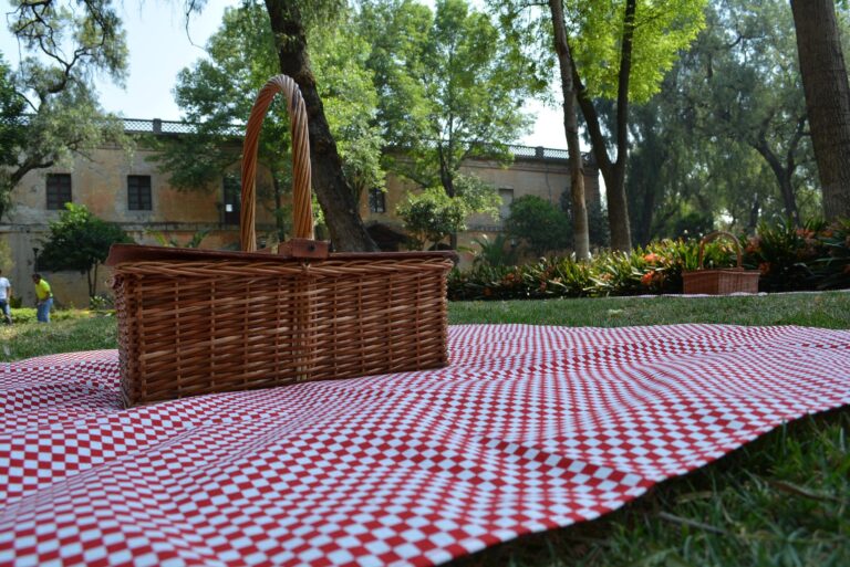 cestino pic-nic-2764148_1920