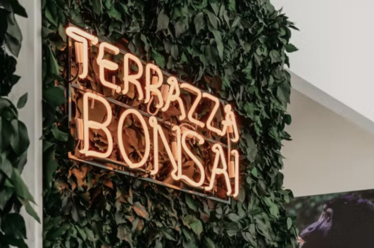 terrazza bonsai