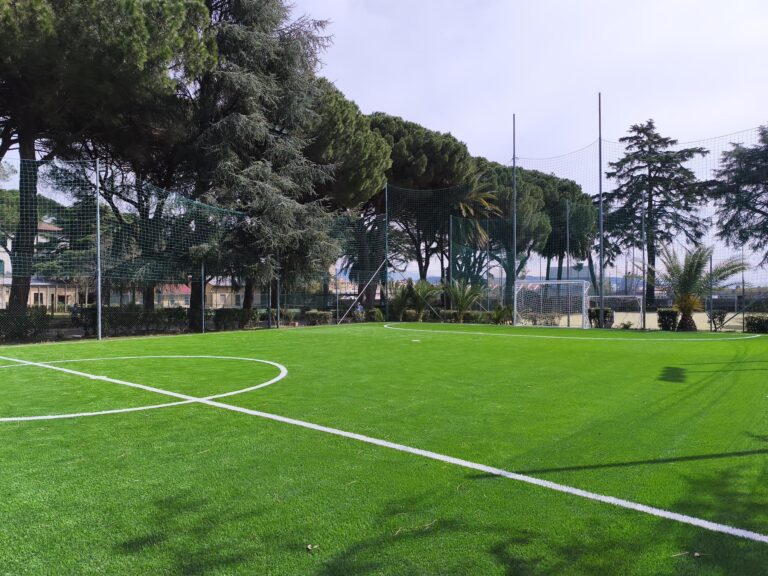 IMG_20260401_124809_1