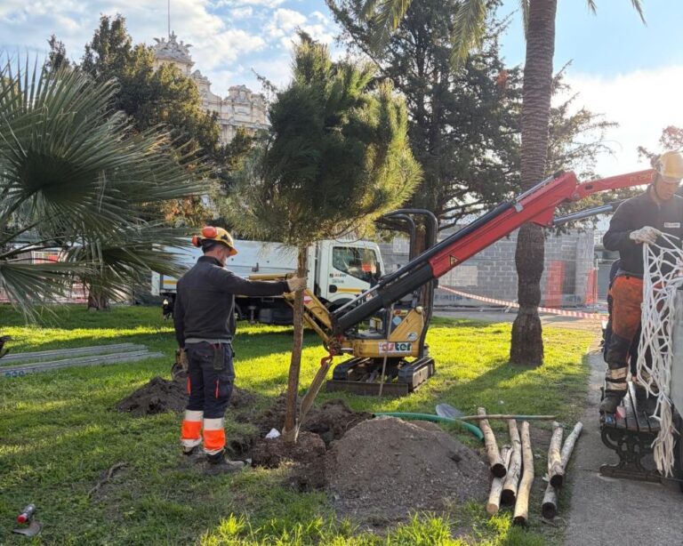 piantumazione alberi aster giardini brignole