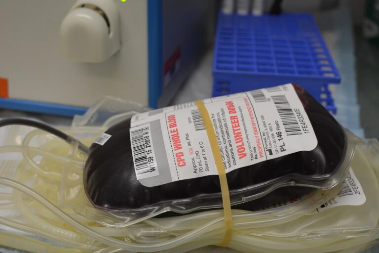 Foto: rdelarosa0 / Pixabay – Genova, il 14 ottobre iscrizioni al registro donatori di midollo osseo con Admo Liguria
