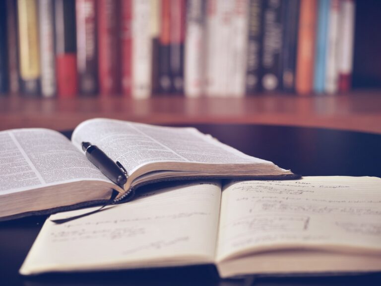 Foto: lil_foot_ / Pixabay – Genova, Simona Franceschini presenta il libro Costruire l’impossibile al Talent Garden