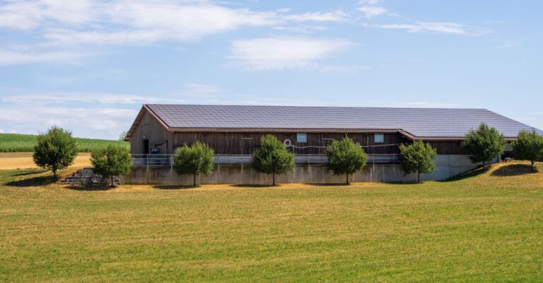 Foto: Thomas P / Pexels – Fotovoltaico nell'agroalimentare: webinar gratuito della Camera di Commercio in Liguria